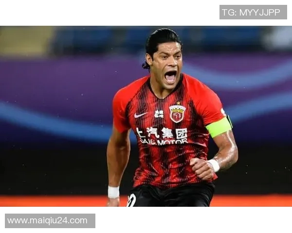 英超洲际杯特别报道北京排球队崛起之路与成长历程揭秘