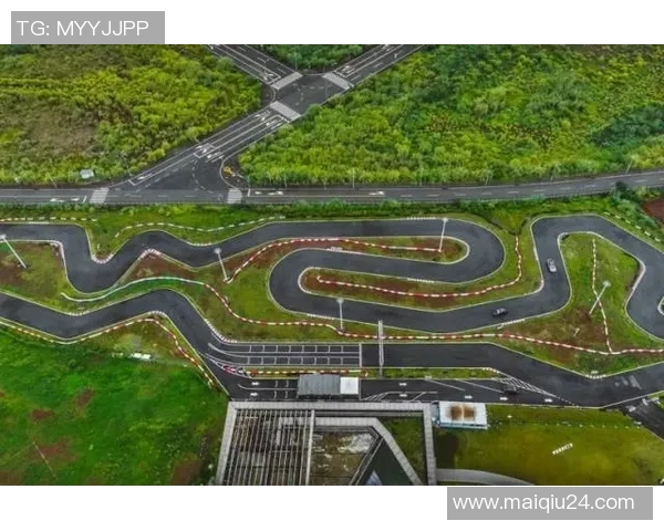 从零基础到高手飞盘运动全方位个人能力提升指南